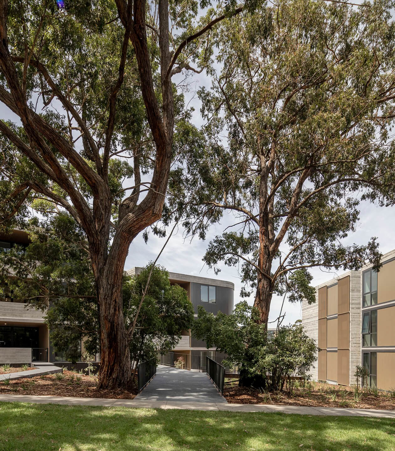 Landscape architects at The Grounds of Ivanhoe